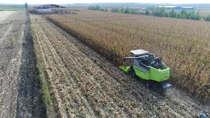 中联重科:玉米籽粒直收,还是纵轴流收割机一马当先!_美食_网